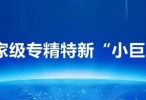 我司榮獲國家級專精特新“小巨人”企業榮譽