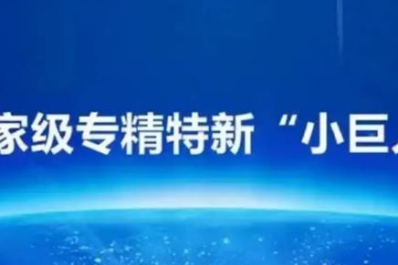 我司榮獲國家級專精特新“小巨人”企業榮譽